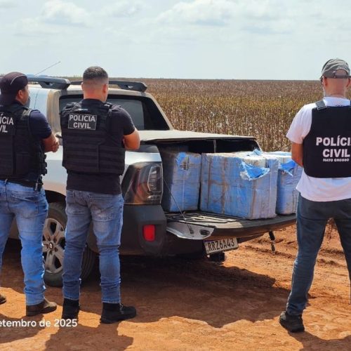Polícia Civil prende suspeito em flagrante com 240 tabletes de maconha tipo skank