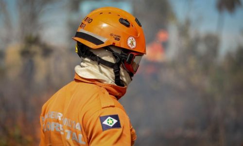 Corpo de Bombeiros combate 13 incêndios florestais nesta terça-feira (23)