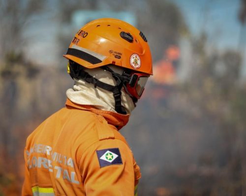 Corpo de Bombeiros combate 13 incêndios florestais nesta terça-feira (23)