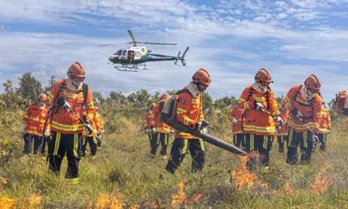 Corpo de Bombeiros combate oito incêndios florestais neste sábado (27)
