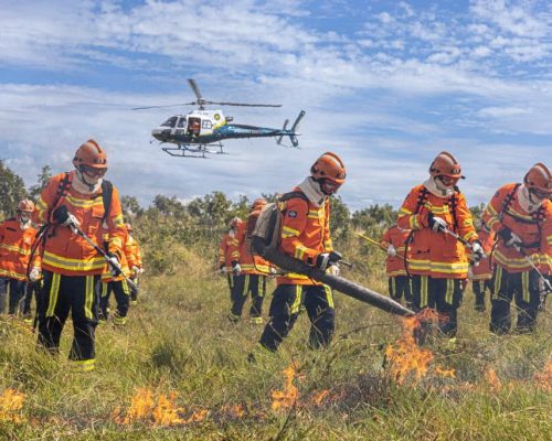 Corpo de Bombeiros combate oito incêndios florestais neste sábado (27)
