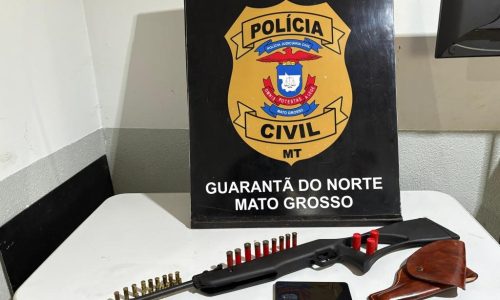 Polícia Civil cumpre busca e apreende de arma de fogo e munições em Guarantã do Norte