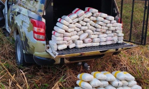 Polícia Militar e PRF apreendem 127 quilos de maconha e causam prejuízo de R$ 1,2 milhão ao crime