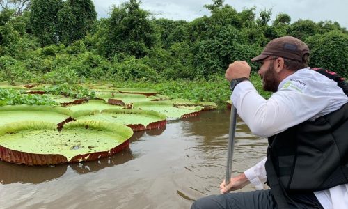 Mato Grosso sediará 1ª edição da COP Pantanal