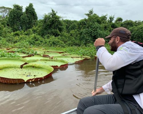 Mato Grosso sediará 1ª edição da COP Pantanal