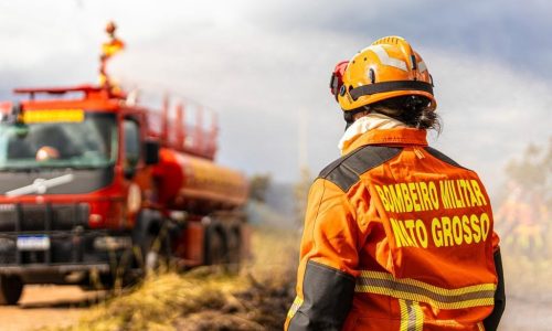 Corpo de Bombeiros combate 24 incêndios florestais nesta terça-feira (7)