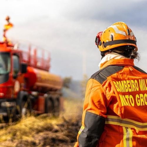 Corpo de Bombeiros combate 24 incêndios florestais nesta terça-feira (7)