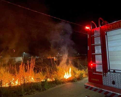 Corpo de Bombeiros combate incêndio em vegetação de terreno urbano