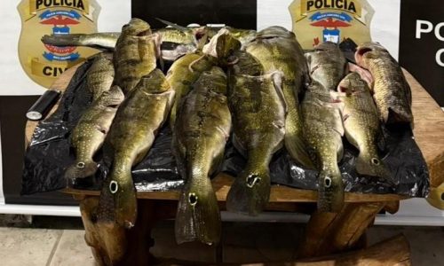 Polícia Civil realiza operação em combate à pesca predatória em Canarana