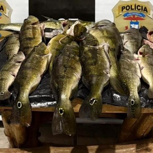 Polícia Civil realiza operação em combate à pesca predatória em Canarana