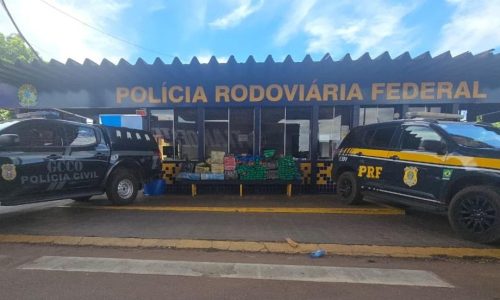 Polícia Civil e PRF apreendem 485 tabletes de maconha que eram transportados na BR-163 em Rondonópolis