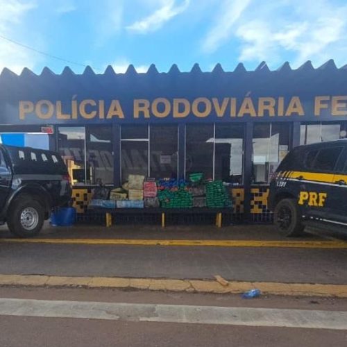 Polícia Civil e PRF apreendem 485 tabletes de maconha que eram transportados na BR-163 em Rondonópolis