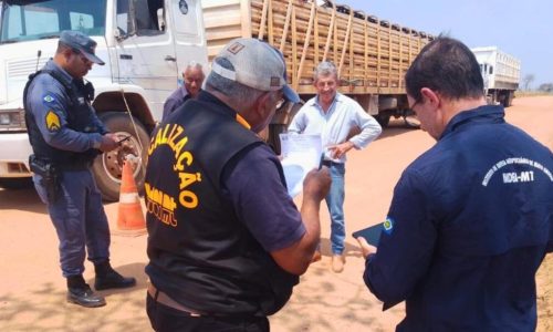 Decreto altera prazo, unifica ritos e propõe descontos em pagamentos de autos de infrações aplicados pelo Indea