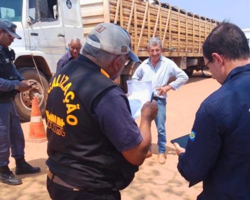 Decreto altera prazo, unifica ritos e propõe descontos em pagamentos de autos de infrações aplicados pelo Indea