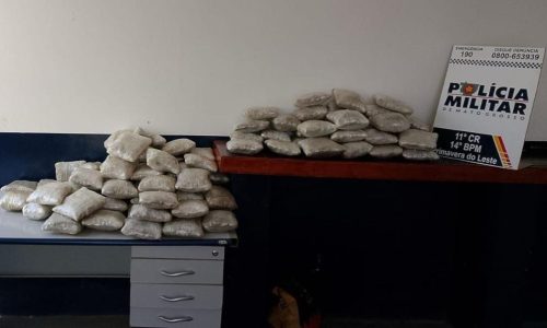 Operação apreende mais de 90 quilos de skunk e provoca prejuízo R$ 348 mil às facções criminosas