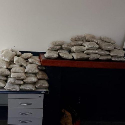 Operação apreende mais de 90 quilos de skunk e provoca prejuízo R$ 348 mil às facções criminosas