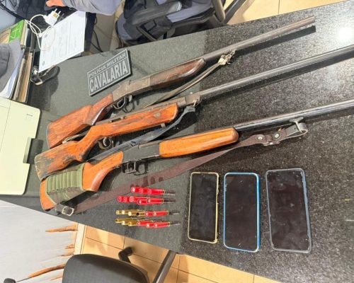 Polícia Militar e Sema prendem três homens com espingardas em área de exploração ilegal de madeira