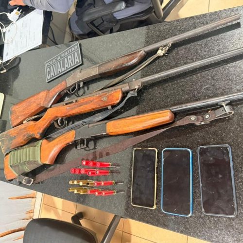Polícia Militar e Sema prendem três homens com espingardas em área de exploração ilegal de madeira