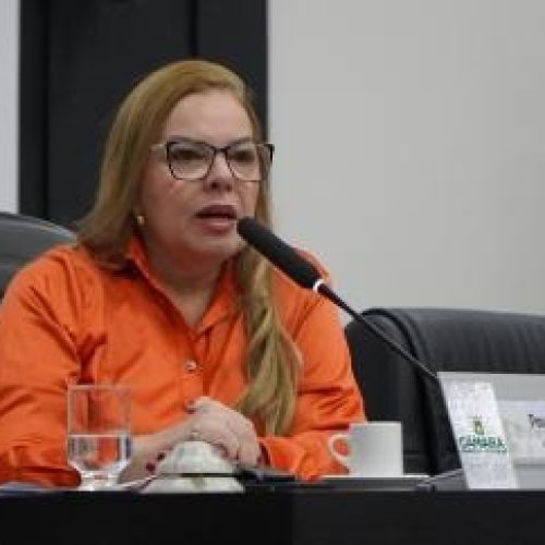 Presidente da Câmara de Cuiabá minimiza polêmica sobre nome de ex-secretário citado na CPI da Previdência