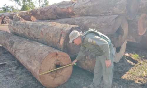Sema apreende maquinário e aplica R$ 130 mil em multas por desmate ilegal em Apiacás