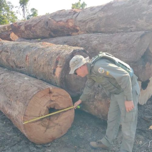 Sema apreende maquinário e aplica R$ 130 mil em multas por desmate ilegal em Apiacás
