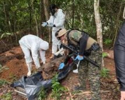 Facções enterram 33 corpos em 6 cemitérios clandestinos em Mato Grosso; investigações revelam padrão de tortura e ocultação