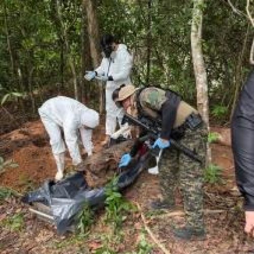 Facções enterram 33 corpos em 6 cemitérios clandestinos em Mato Grosso; investigações revelam padrão de tortura e ocultação