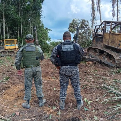 Polícia Militar apreende máquinas utilizadas em extração ilegal de madeiras em zona rural