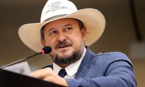 “MT pode ganhar programa pioneiro de amparo a órfãos de feminicídio; entenda proposta de Cattani”