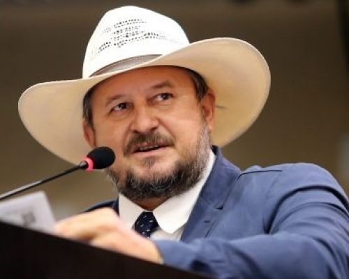 “MT pode ganhar programa pioneiro de amparo a órfãos de feminicídio; entenda proposta de Cattani”