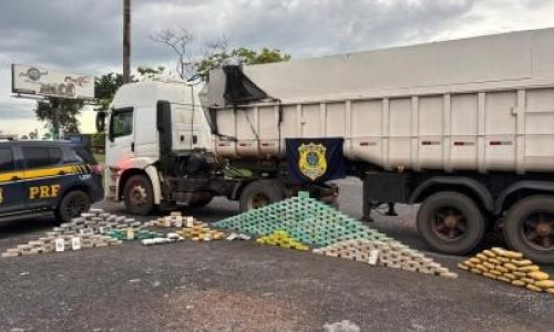 Polícias apreendem 367 tabletes de drogas escondidos em caminhão no Trevo do Lagarto; motorista é preso