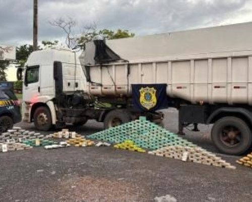 Polícias apreendem 367 tabletes de drogas escondidos em caminhão no Trevo do Lagarto; motorista é preso
