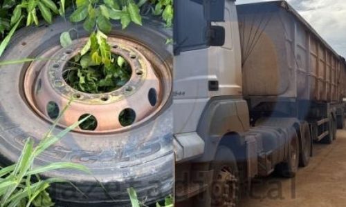 Roda de carreta se solta, atinge e mata mulher na BR-163; caso gera comoção no Nortão