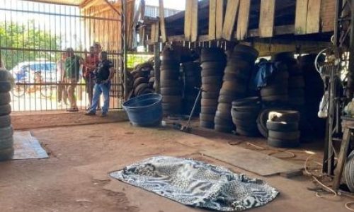 Homem é morto a tiros em borracharia e irmão escapa após falha de arma em Vila Bela da Santíssima Trindade