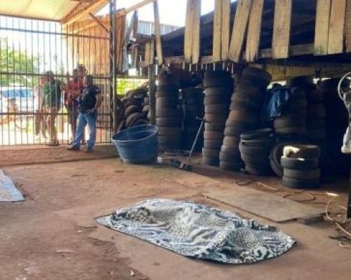 Homem é morto a tiros em borracharia e irmão escapa após falha de arma em Vila Bela da Santíssima Trindade