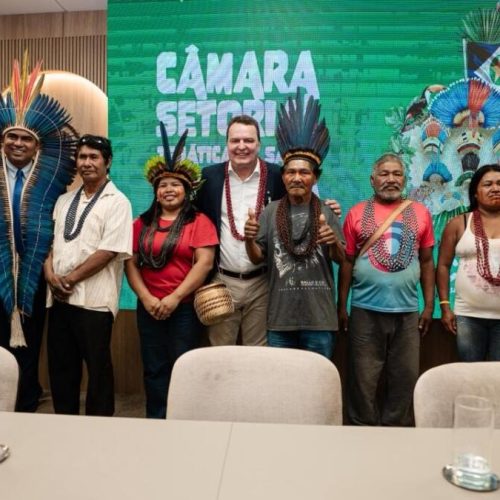 Max Russi amplia diálogo institucional para fortalecer a saúde indígena em Mato Grosso