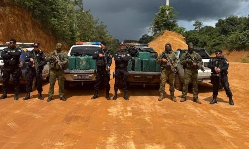 Forças de segurança apreendem mais de 540 quilos de cocaína e prendem dois na fronteira de Mato Grosso