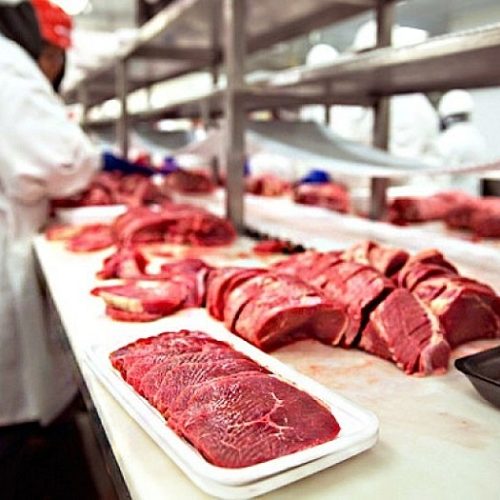 Carne bovina de Mato Grosso chega a mais de 90 países em 2025