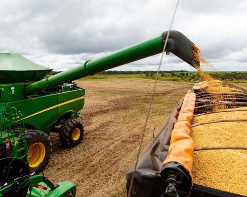 Mato Grosso redefine incentivo fiscal à soja beneficiada e impõe novos critérios às operações