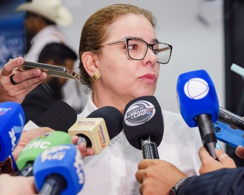 Presidente da Câmara, Paula Calil critica mudança de Vânia ao MDB e defende coerência política