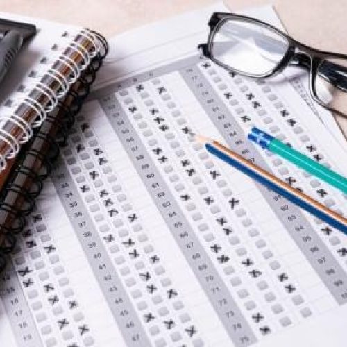 Mato Grosso tem mais de 500 oportunidades em processos seletivos em todas as regiões do estado.