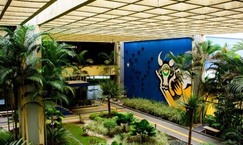 Mato Grosso lidera ranking nacional de solvência fiscal e reforça equilíbrio das contas públicas