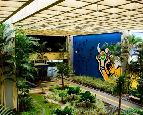 Mato Grosso lidera ranking nacional de solvência fiscal e reforça equilíbrio das contas públicas