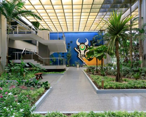 Redução de impostos impulsiona desenvolvimento em Mato Grosso  MT avança no desenvolvimento com corte de tributos