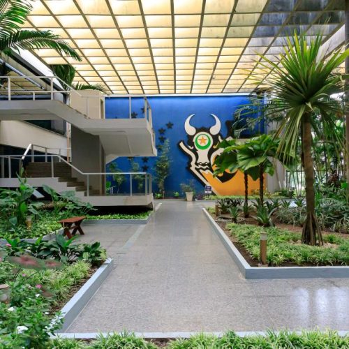 Redução de impostos impulsiona desenvolvimento em Mato Grosso  MT avança no desenvolvimento com corte de tributos