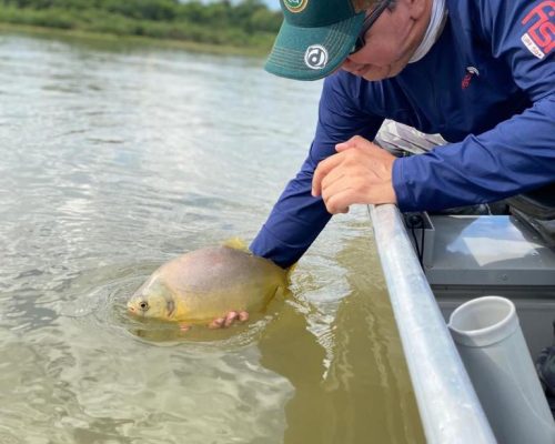 Fim da piracema abre temporada de pesca esportiva e impulsiona turismo em Mato Grosso