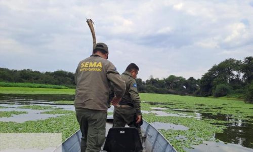 Fiscalização recorde apreende 2,6 toneladas de pescado ilegal durante a piracema em MT