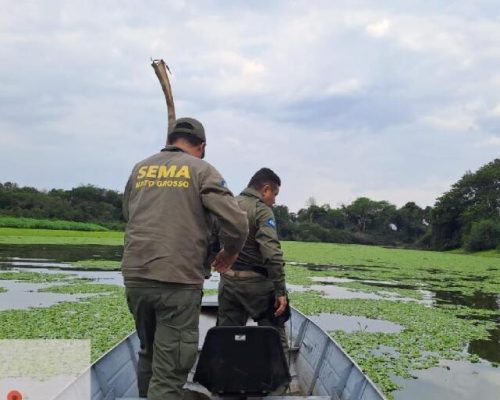 Fiscalização recorde apreende 2,6 toneladas de pescado ilegal durante a piracema em MT