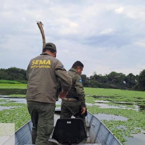 Fiscalização recorde apreende 2,6 toneladas de pescado ilegal durante a piracema em MT