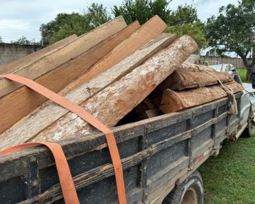 Polícia Civil e Funai desarticulam esquema de desmatamento ilegal em terra indígena em MT